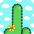 仙人掌仙人掌手机版最新版（Cactus Cactus）