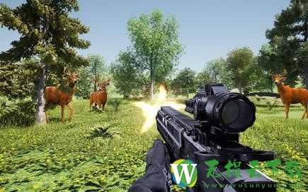 猎鹿野生动物射击2021